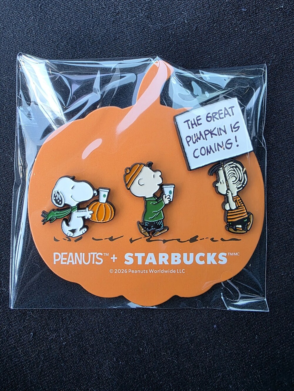 Starbucks Peanuts Pumpkin Trio Enamel Pin Set — Orange, Green, Black